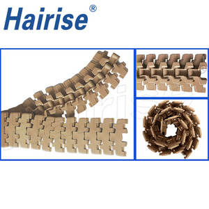 Concurrerende Prijs Tafelketting Plastic Lamellentop Ketting Voor Kettingtransportsysteem - Product Image 5