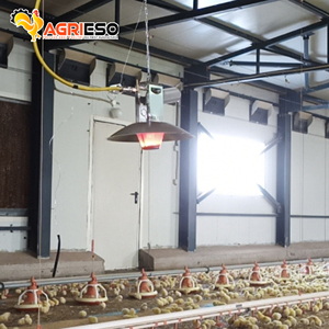 Thiết Bị Gia Cầm Trang Trại Máy Cán Ga Máy Sưởi Ga Gà Tự Động - Product Image 6