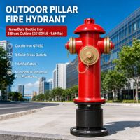 Hidran Pilar Luar Ruangan Besi Ulet di Atas Tanah SS100 65 dengan 3 Outlet Kuningan dan Inlet Berflens 1.6MPa