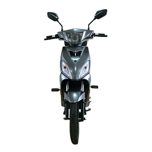 Scooter électrique de ville à moteur arrière Eec Coc 48v 1000w, <span class=keywords><strong>cyclomoteur</strong></span> avec assistance à pédale pour adultes, nouveau design de vélo électrique - Product Image 2