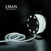 Bande lumineuse LED portable haute tension, double face, étanche, pour travaux extérieurs, chantiers, tunnels, mines