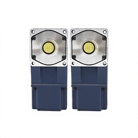 Ruizhanpeng Motor DC Magnet Permanen Poros Padat Sudut Kanan Tanpa Hall Tanpa Sikat Miniatur 220V Kecepatan Dapat Diatur Gigi Variabel