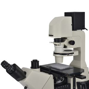 BestScope BS-2095 Microscópio Trinocular Biológico Invertido para unidades médicas e de saúde, universidades, institutos de pesquisa - Product Image 3
