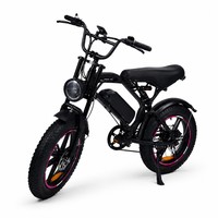 Vélo électrique à gros pneus 750W, 48V 15AH, écran LCD 20 pouces, pour aventures en extérieur, noir et rose, idéal pour les week-ends en plein air