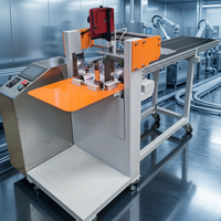 Machine de marquage laser pour le codage des numéros de série, imprimante de date de production et de date d'expiration