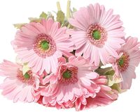 Buket Bunga Gerbera Daisy PU Buatan, Realistis, Tahan Air, Buatan Tangan untuk Dekorasi Rumah, Pernikahan, Natal, dan Pesta