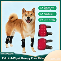 Ceinture de thérapie laser froid vétérinaire EURVET, ceinture de thérapie par lumière rouge portable pour animaux de compagnie, pour soulager les douleurs articulaires et musculaires des chiens et des chats
