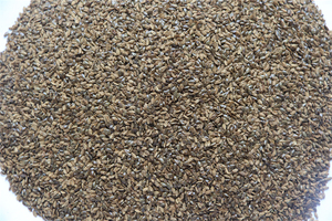 Vente en gros de nourriture pour tortues et reptiles 100% naturelle séchée au soleil, nourriture pour animaux de compagnie moyenne, mouches aquatiques, fournie par les fabricants - Product Image 5