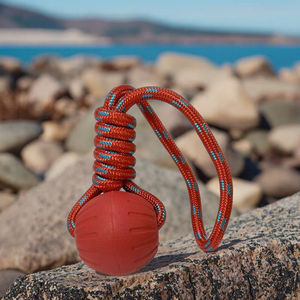 Balle de dressage pour chien de grande taille, 9 cm, en EVA, rouge, durable, mignonne et moderne, pour l'intérieur et l'extérieur, jouet interactif à mâcher pour animaux de compagnie - Product Image 1