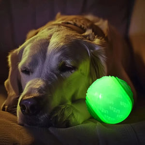 Groothandel Interactieve Stoere Gloeiende Lichte Hond Kauw Speelgoed Piepende Waterdichte Tandstructuur <span class=keywords><strong>Glow</strong></span> <span class=keywords><strong>In</strong></span> <span class=keywords><strong>Dark</strong></span> Tennisbal Drijvend Spel - Product Image 6