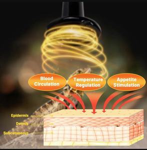 Hot-bán brooder gà Coop nóng phát triển nóng 120V 220V 20W 40W 60W 80W cho bò sát nhiệt đèn - Product Image 5