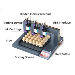 Imprimante jet d'encre à grande vitesse à 3 têtes pour le marquage automatique des œufs en lot - Product Image 6