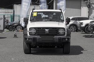 2026 New Tank 300 2.0T 227Ps L4 F-AWD Gasoline Cars 5-<b>door</b> 5-seater SUV Large Space Petrol Cars for Sale - Product Image 3