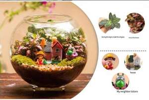 <span class=keywords><strong>Plante</strong></span> <span class=keywords><strong>monde</strong></span> chaud <span class=keywords><strong>maison</strong></span> petite bouteille écologique paysage - Product Image 5