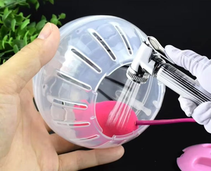 Bola de rueda deportiva de plástico colorido, rodillo transparente, de cristal para <span class=keywords><strong>Fitness</strong></span> juguete, oso dorado y hámster, suministros para mascotas, cubierta de bola para correr - Product Image 3