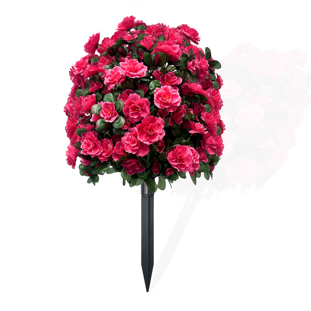 Azaleas in the ground - rose red