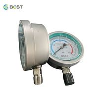 Bellows Capsule Micro Pressure Measuring Instruments for Gas with Stainless Steel Differential Pressure Gauge