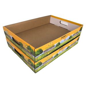 Kệ-Sẵn Sàng màu giấy bao bì các tông khay tùy chỉnh in bán lẻ hiển thị khay sóng - Product Image 3