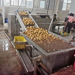 Machine économique pour la découpe, le lavage et le séchage de la laitue et <span class=keywords><strong>des</strong></span> <span class=keywords><strong>épinards</strong></span> - Product Image 5