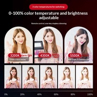 Kit d'équipement de photographie et de tournage vidéo pour studio : Boîte à lumière, ampoules LED, support de fond et accessoires