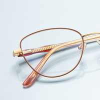 3184 Lunettes anti-lumière bleue pour femme, monture œil de chat punk transfrontalière, style européen et américain, en métal coloré, miroir plat tendance
