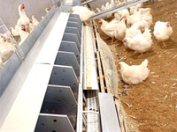 Nichoir à œufs de volaille Poulets pondeurs Boîtes 12 ou 24 trous Poules coop