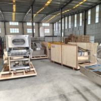 Chocolade-coatingmachine voor cakes met notenstrooisel, gelijkmatige coating, voor snack- en bakkerijvoedselverwerkingsfabrieken