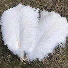 Milli nery liefert Karnevals kostüme Tanz kostüme Straußen federn Feder - Product Image 5