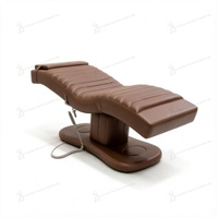 Lit de Luxe Électrique pour Extensions de Cils, Lit Facial en Cuir Couleur Chocolat, Lits et Tables de Massage Motorisés, Lit de Beauté, Mobilier de Salon