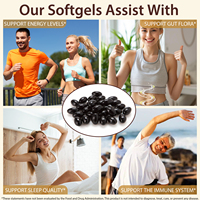 SOLOTREE Gélules de Noyer Noir et d'Armoise 18-en-1 en Gros, Extraits Végétaux, Complément Énergétique Herbal, Expédition en 3 Jours par le Fabricant