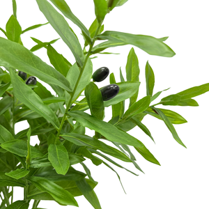 Haute qualité soie feuille vert branche d'<span class=keywords><strong>olivier</strong></span> artificielle personnalisé 45-100CM plante en plastique mariage décor à la maison remise des diplômes nouvel an - Product Image 4