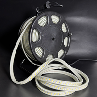 Lampu Konstruksi Portabel AC230V Lampu Strip Fleksibel Epistar 80M PVC Tahan Air IP65 CRI Tinggi>83 Dapat Diredupkan Industrial