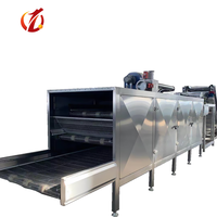 Gloednieuwe, op maat gemaakte industriële fruitdroogmachine met stoomverwarming en continue transportband