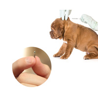 Transpondeur RFID en verre IP68 pour animaux (chien, chat), puce microchip FDX-B EM4305, fabricant pour identification, taille standard 2,12x12mm, norme ICAR