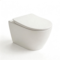 WC suspendu en porcelaine de luxe monobloc avec système de chasse d'eau dissimulé et siège hygiénique pour salles de bain de villas