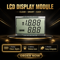Écran LCD flexible personnalisé de petite taille pour appareil électronique portable
