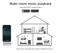 Amplificateur domestique actif Cloudyx, carte audio numérique stéréo sans fil avec WiFi et Bluetooth pour l'entrée du modèle CL-100WB