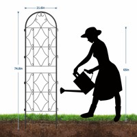 Treillis de jardin en métal pour plantes grimpantes, support en fer avec crochets de suspension pour roses et tomates – Vente en gros