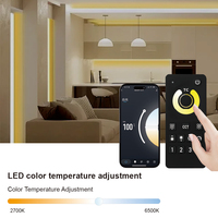 C100 4 zones MESH groupe à distance et synchronisation Tuya Smart 2.4G BT WIFI Zigbee CCT Mini 12/24V PWM contrôleur de lumière LED