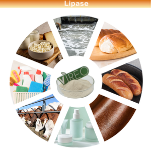 Enzima Lipasi 100000 U/g Grado Alimentare Integratore di Lipasi - Product Image 3