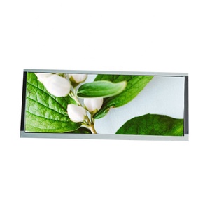 Panel de pantalla <span class=keywords><strong>LCD</strong></span> TFT de 9,0 pulgadas con módulos <span class=keywords><strong>LCD</strong></span> de barra de interfaz RGB MIPI LVDS - Product Image 1