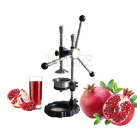 Commerciële Zware Gietijzeren Handmatige Handpers Oranje Citrus Citroen Limoen Grapefruit Granaatappel Vruchtensap Persen Machine