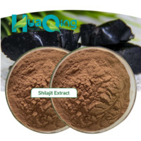 Extrait de Shilajit en poudre d'acide fulvique de qualité alimentaire 85%