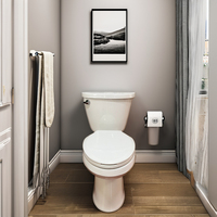 Ensemble WC monobloc en céramique moderne, traditionnel, à double chasse, à sortie verticale, pour personnes à mobilité réduite