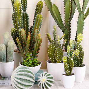 Artificial Cactus Potted Plants Multi Piece Package High Simulation Indoor Desktop Decorative Greenery - Product Image 1
