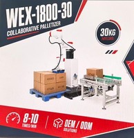 Palettiseur de haute performance 360 kg pour empilage de cartons de 300 à 2400 mm avec ventouse pour l'emballage alimentaire, chimique et de cigarettes