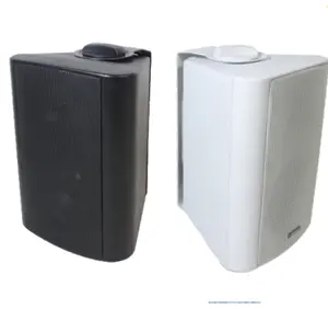 4 Inch Bass 8 ohm High Performance Wall Speaker for Home Entertainment and Commercial Application