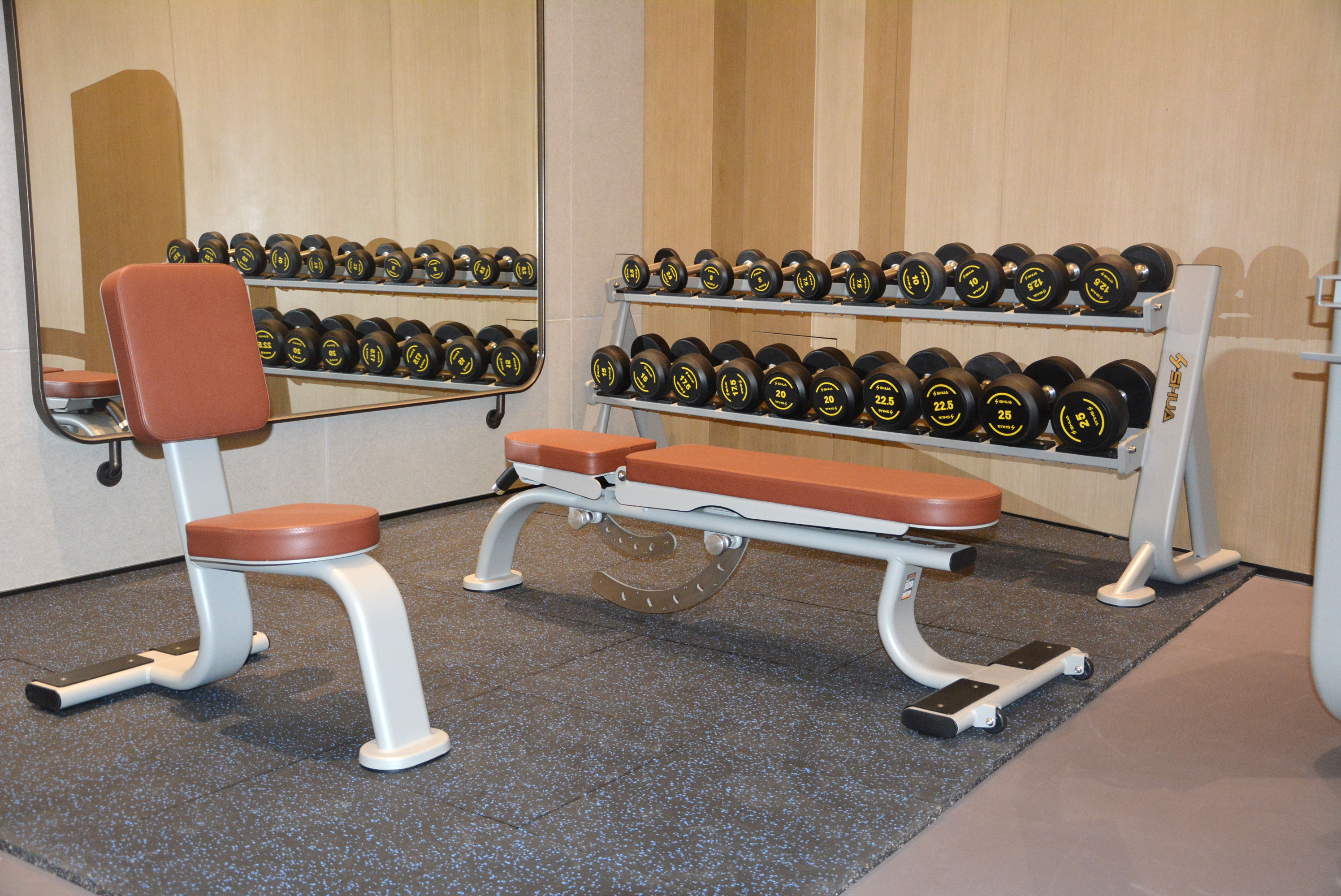 トレーニング ラック  ダンベル  セット ホームジム SHUA SH-6884ダンベルセット付き2層選択ダンベルラックShua