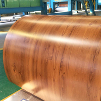 Bobina de Acero Galvanizado Prepintado PPGI con Certificación BIS RAL5023 a Precio de Fábrica para la Construcción de Infraestructuras de Plantas de Tratamiento de Agua