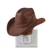 Luz Nocturna LED con Forma de Bota de Vaquero del Oeste, 360 ° Lámpara Decorativa Giratoria con Diseño de Cactus y Enchufe, Estilo Rústico, Venta al por Mayor de Fábrica, OEM, Regalo
